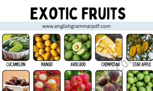 Exotic Fruits: 40+ Exotic Fruits With ESL Pictures and Examples