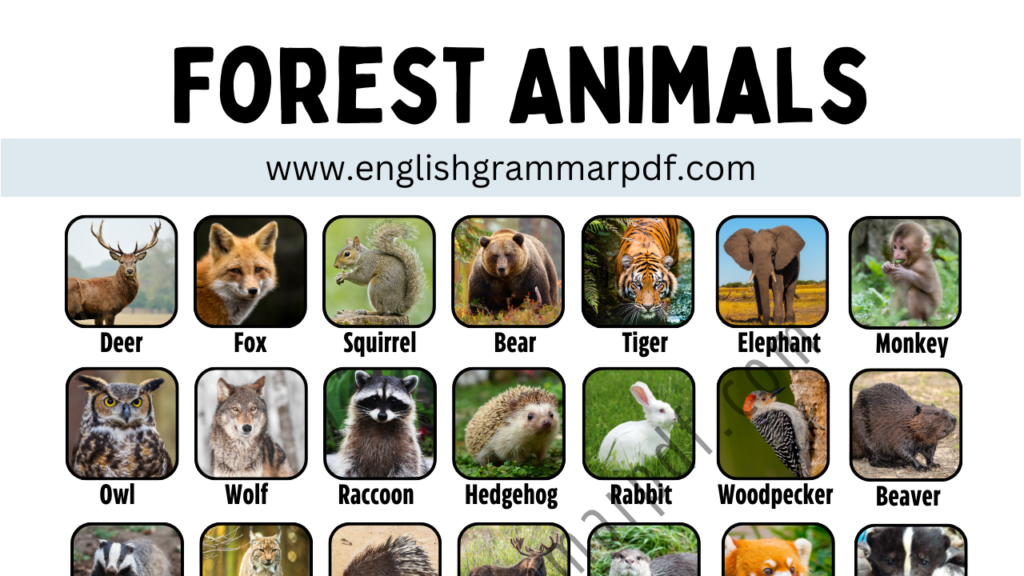 Forest Animals Copy