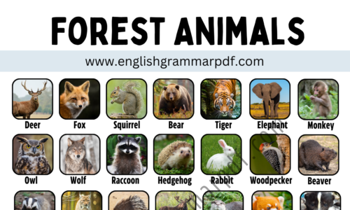 50 Cute ANIMALS That Live in the FOREST with ESL Infographic!