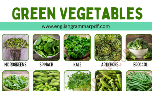 30 Green Vegetables in English with ESL Infographic!