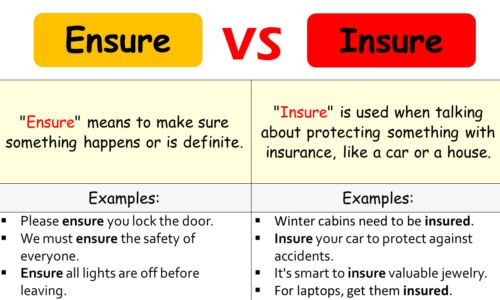 INSURE vs ENSURE: What are the Differences?