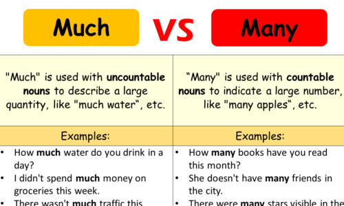 MUCH vs MANY: What Are The Differences between Them?