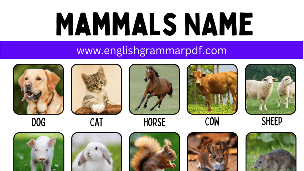 Mammals NAme Copy