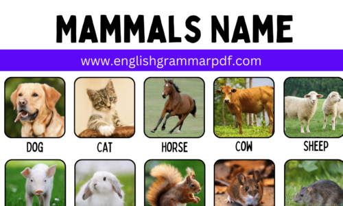 Mammals: List of 150 Mammals with ESL Picture!