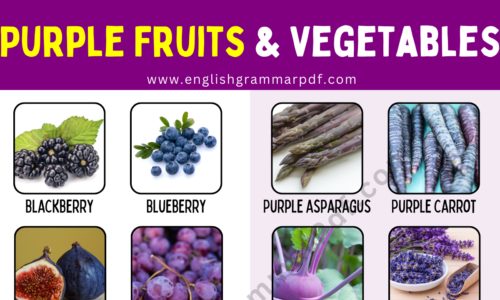 Purple Vegetables: List of 30 Purple Fruits and Vegetables in English