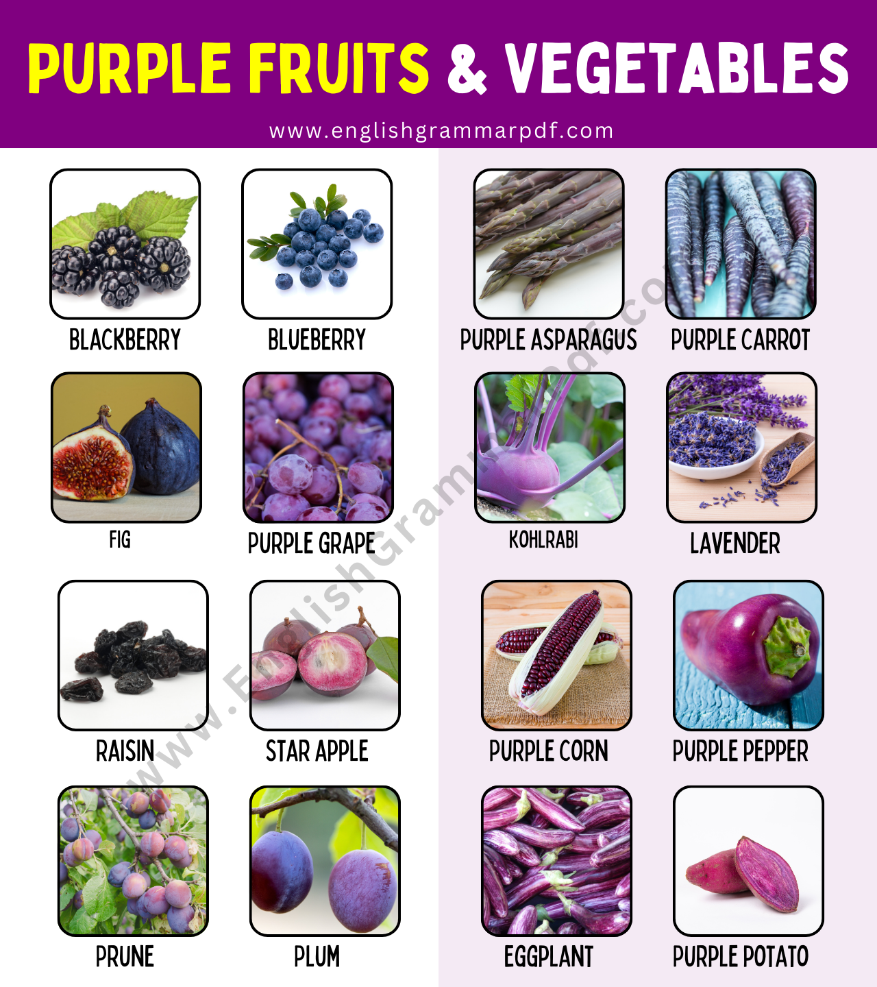 Purple Fruits and Vegetables