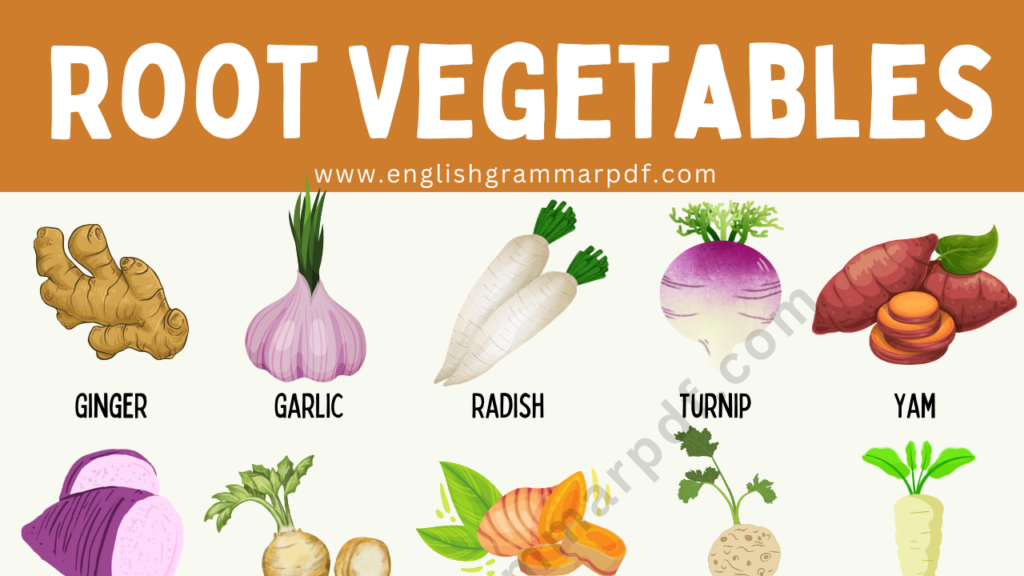 Root Vegetables in English