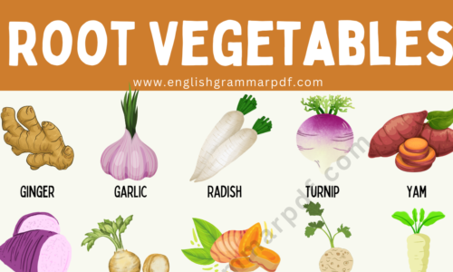 Root Vegetables: List of 50 Root Vegetables with Pictures