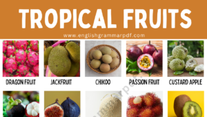 Tropical Fruits Names