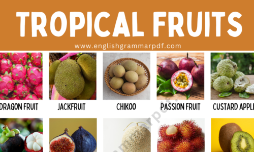 Tropical Fruits: List of All Tropical Fruits Names