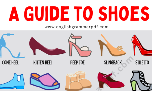 Types of Shoes: Learn Awesome Shoes Styles with Pictures