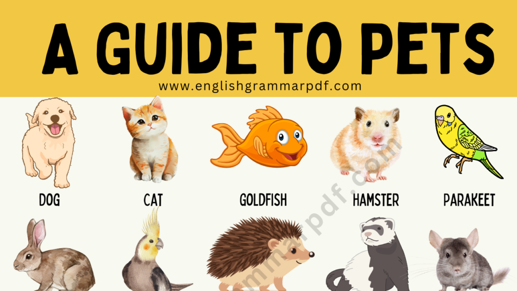 list of Different Types of Pets