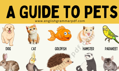 Different Types of Pets in English With Pictures