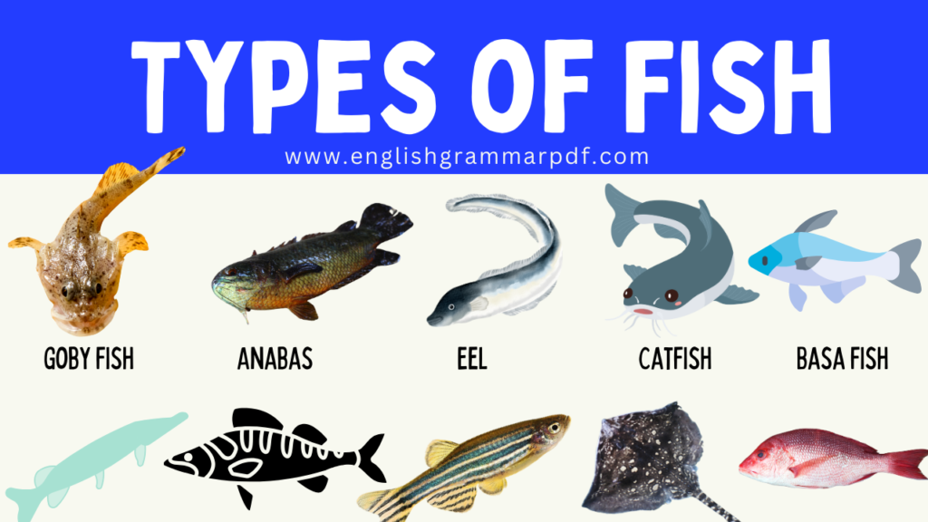 list of different Types of Fish