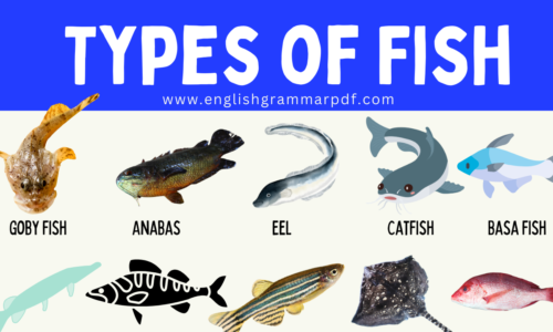 Learn 91 Different Types of Fish (Amazing Collection)