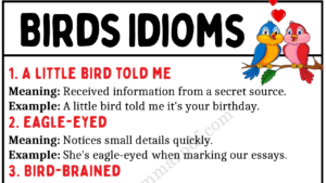 Birds Idioms Copy