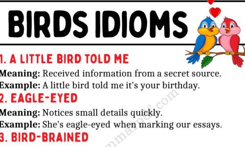 20 Birds Idioms in English