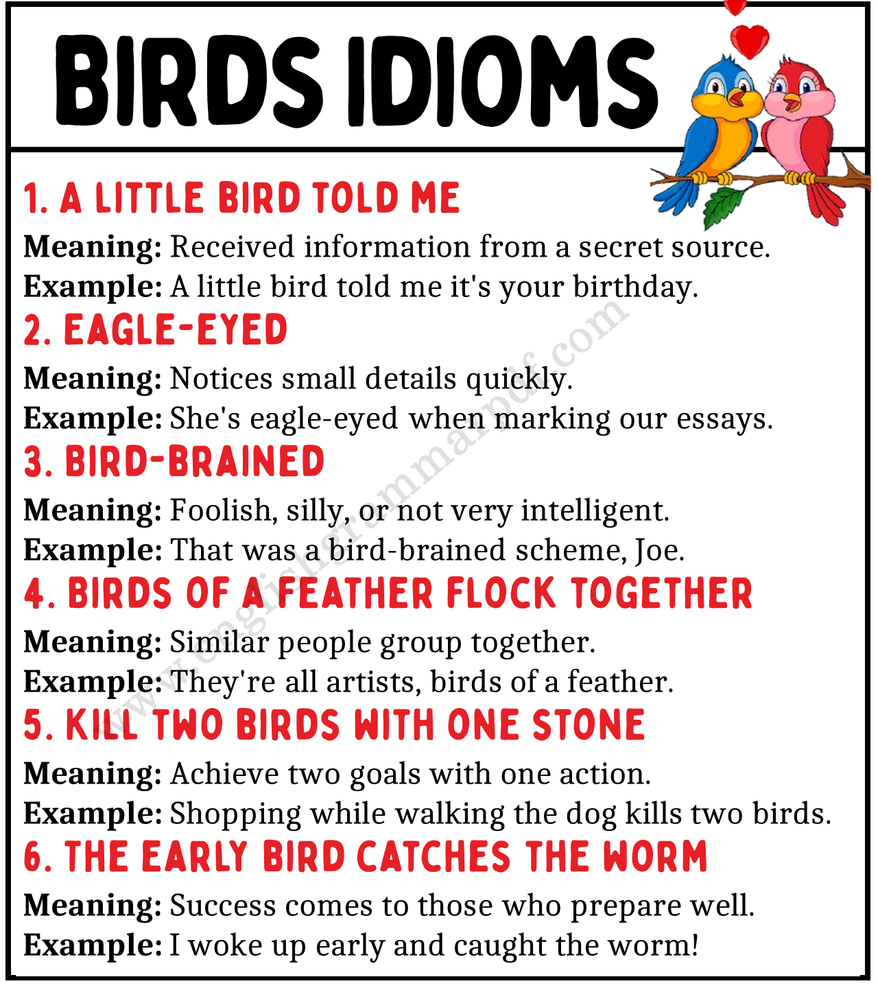Birds Idioms