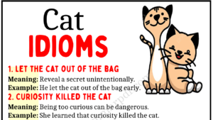 Cat Idioms Copy