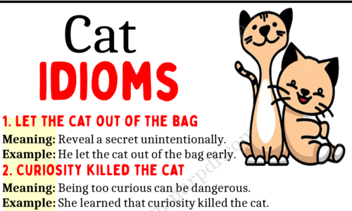 20 Interesting Cat Idioms in English