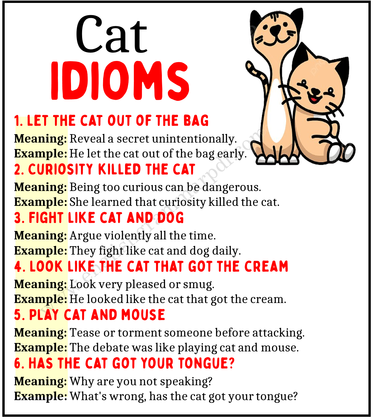 Cat Idioms