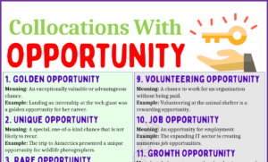 Collocations with Opportunity 1