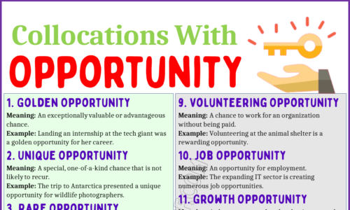 20 Collocations with “Opportunity” in English