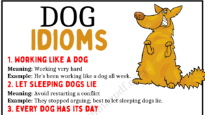 Dog Idioms Copy