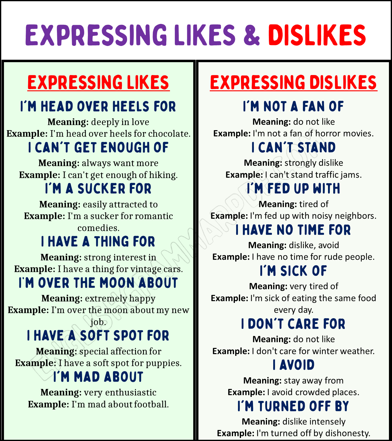 Expressing LIKES & DISLIKES