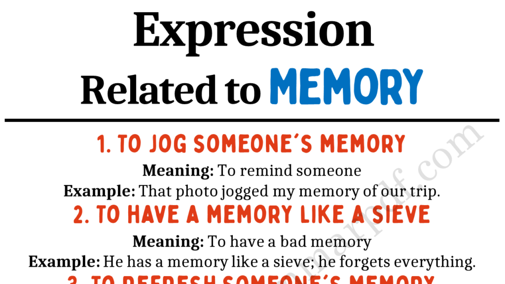 Expressions About Memory Copy