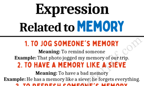 20 Expressions About Memory in English