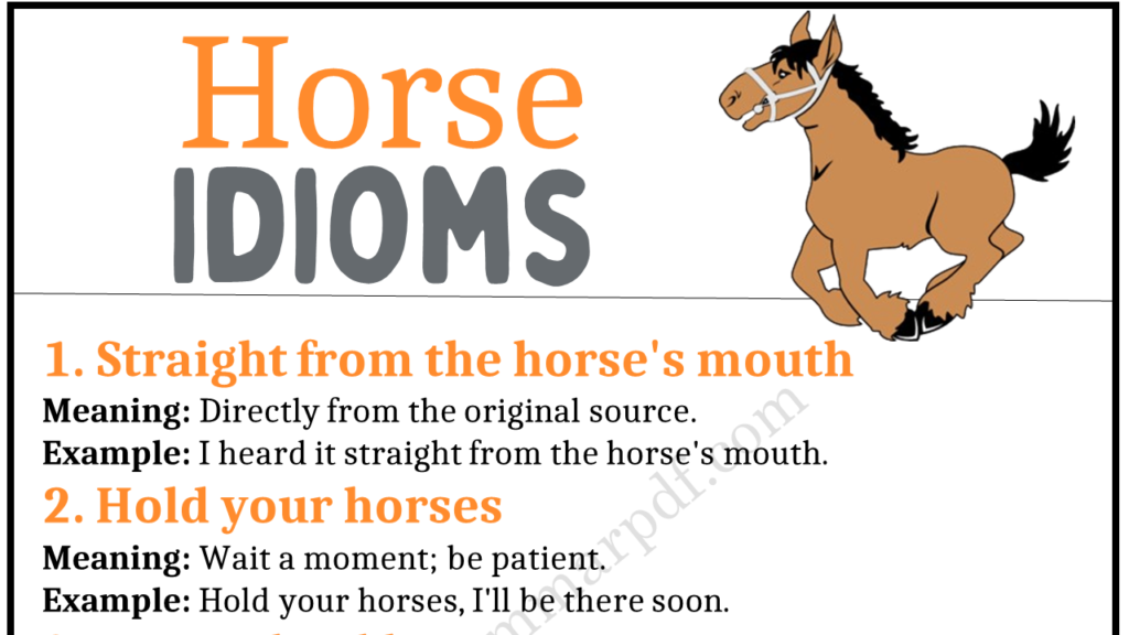 Horse Idioms Copy