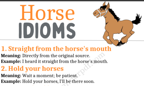 20 Horse Idioms in English