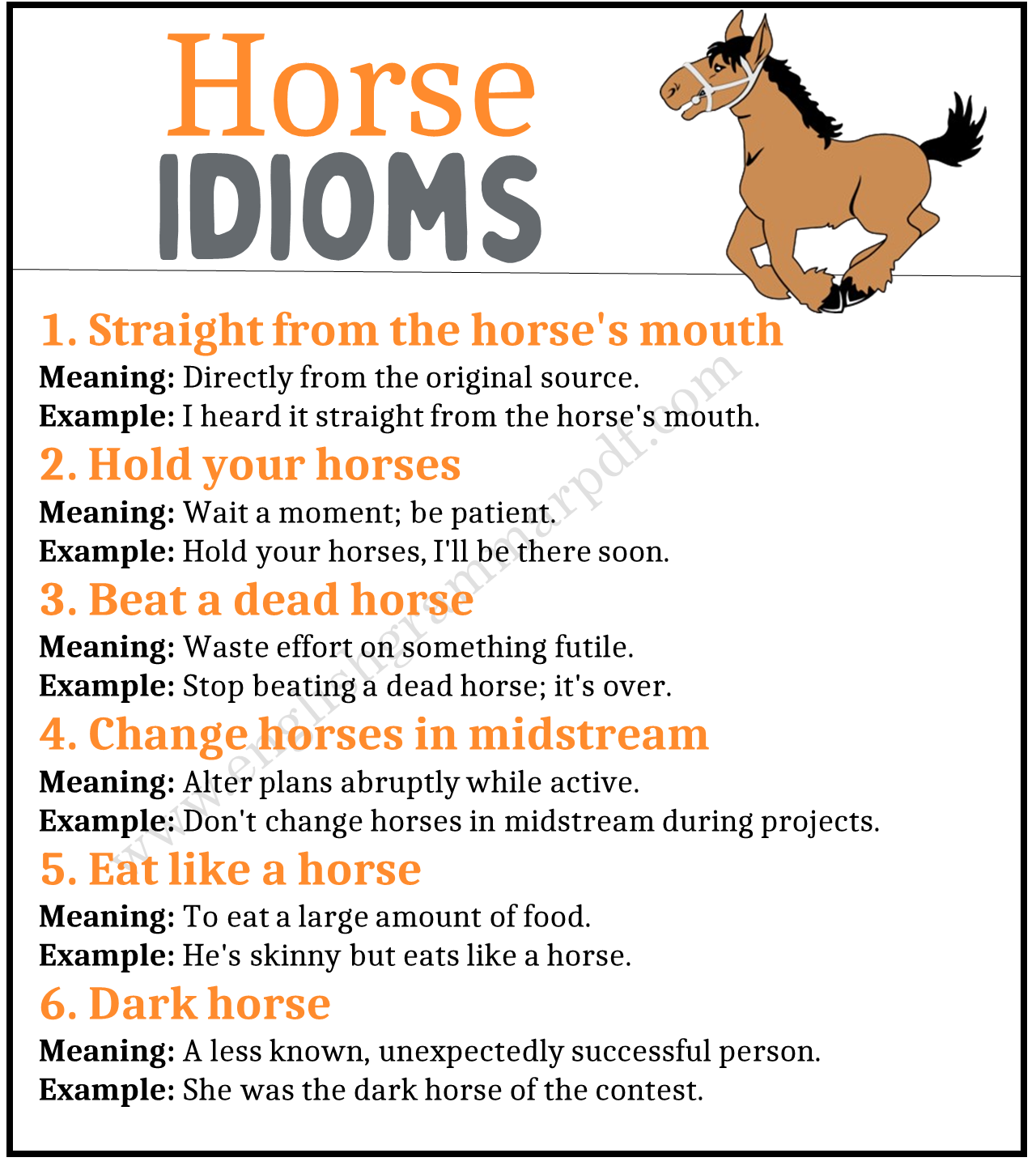 Horse Idioms