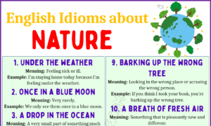 Idioms About Nature 1