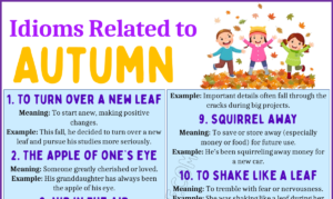 Idioms Related To Autumn 1