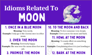 Idioms and Expressions with Moon 1