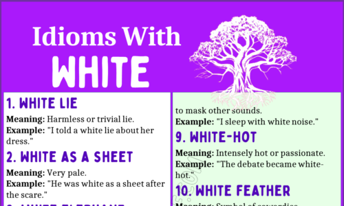 20 Idioms with White (Daily Use Idioms)