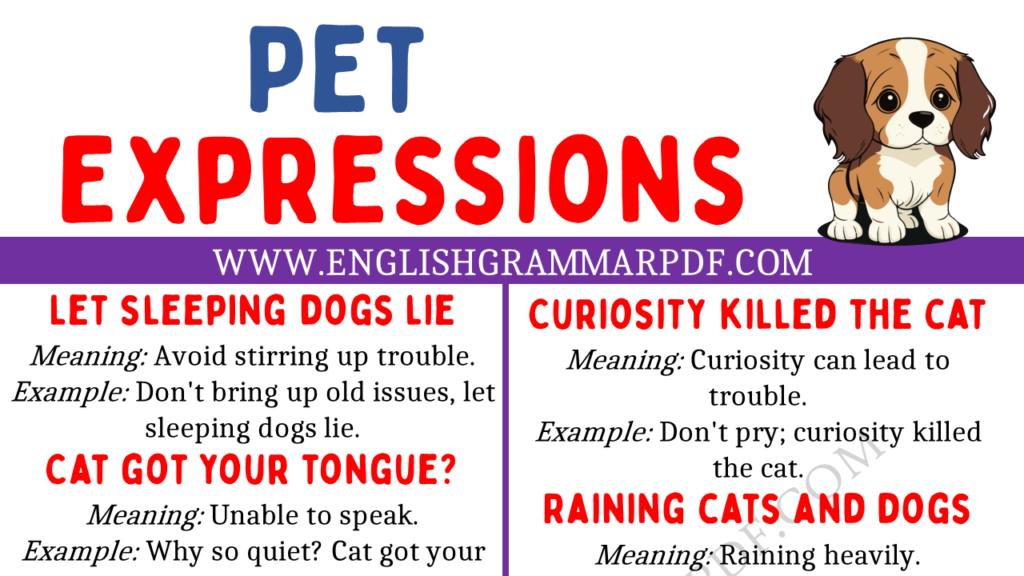 Pet Expressions Copy