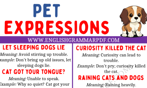 Explore 20 Pet Expressions in English