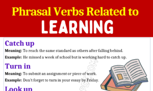 Phrasal Verbs Related To Learning 1