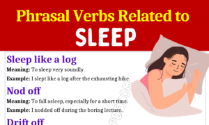 Phrasal Verbs Related To Sleep 1