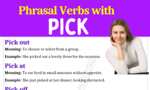 Phrasal Verbs with Pick 1