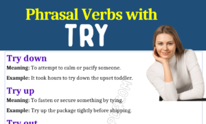 Phrasal Verbs with Try 1