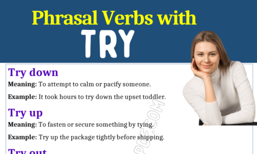 Phrasal Verbs with Try