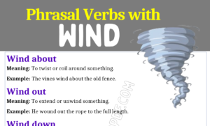 Phrasal Verbs with Wind 1