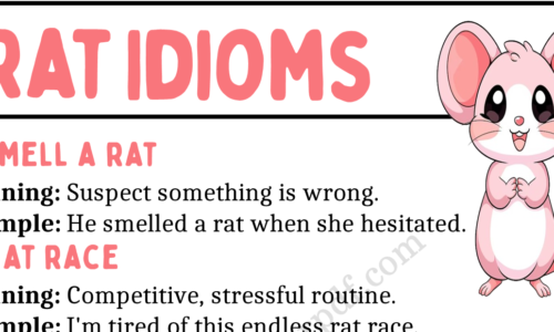 20 Rat Idioms in English