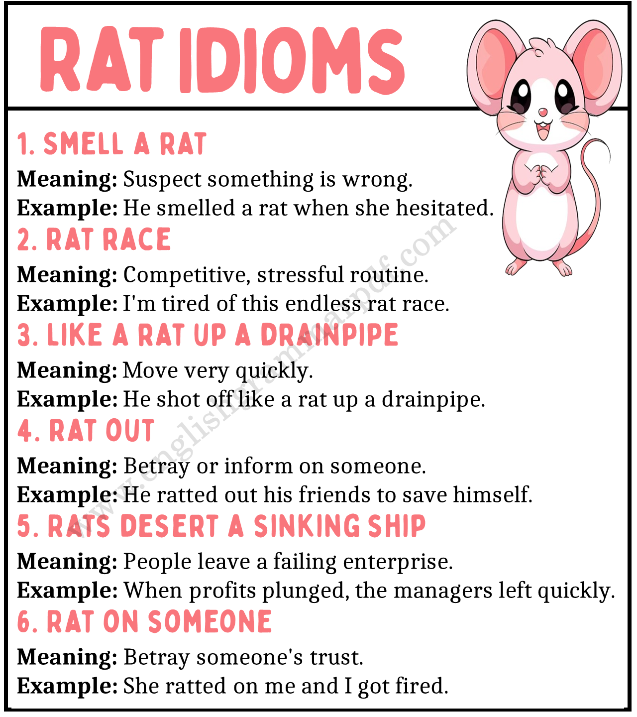 Rat Idioms
