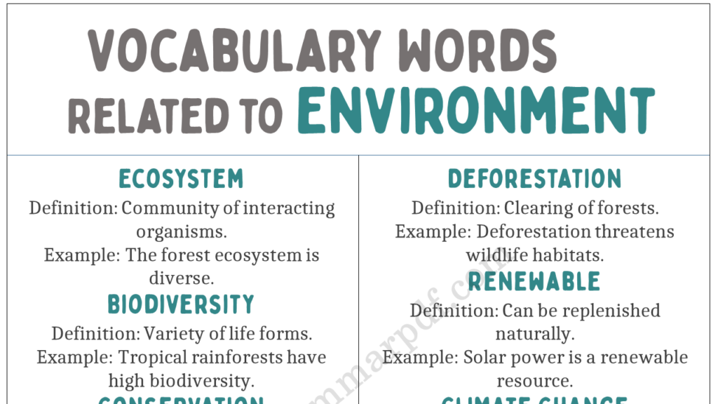 Vocabulary Words Related to Environment Copy