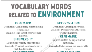 Vocabulary Words Related to Environment Copy